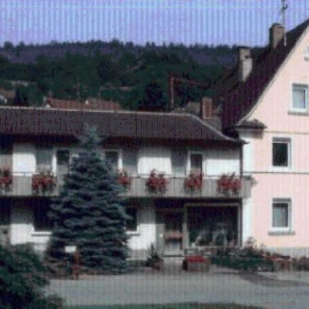 Gastehaus Endrich Hotel Heidelberg Exterior photo